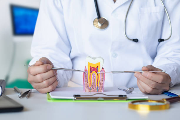 Best Emergency Tooth Extraction in Thorsby, AL